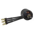 Spitz brushless Motor 2834-10